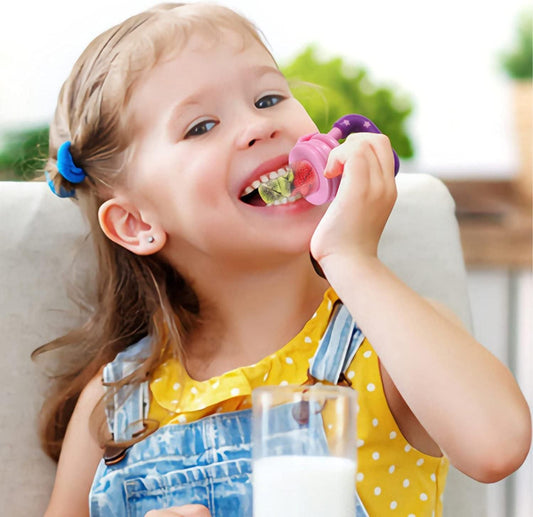 LittleBitez Baby Fruit Pacifiers – BPA-Free Silicone Teething Feeders (2-Pack)